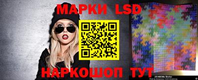 стафф Ставрополь