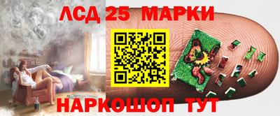 стафф Ставрополь