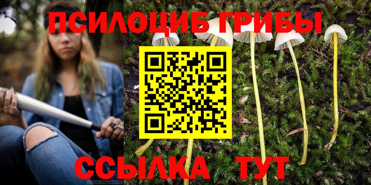 Псилоцибиновые грибы MAGIC MUSHROOMS Прокопьевск