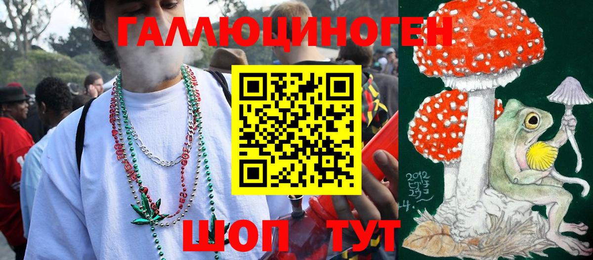 Прокопьевск  Псилоцибиновые грибы мухоморы  Вход с VPN 